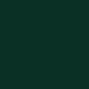 Linoleum: 4174 Conifer Green