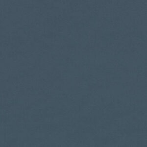 Linoleum: 4179 Smokey Blue